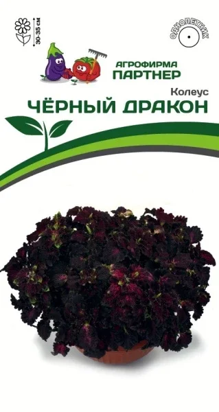 Миниатюра изображения сорта Черный Дракон (Блэк Дракон)