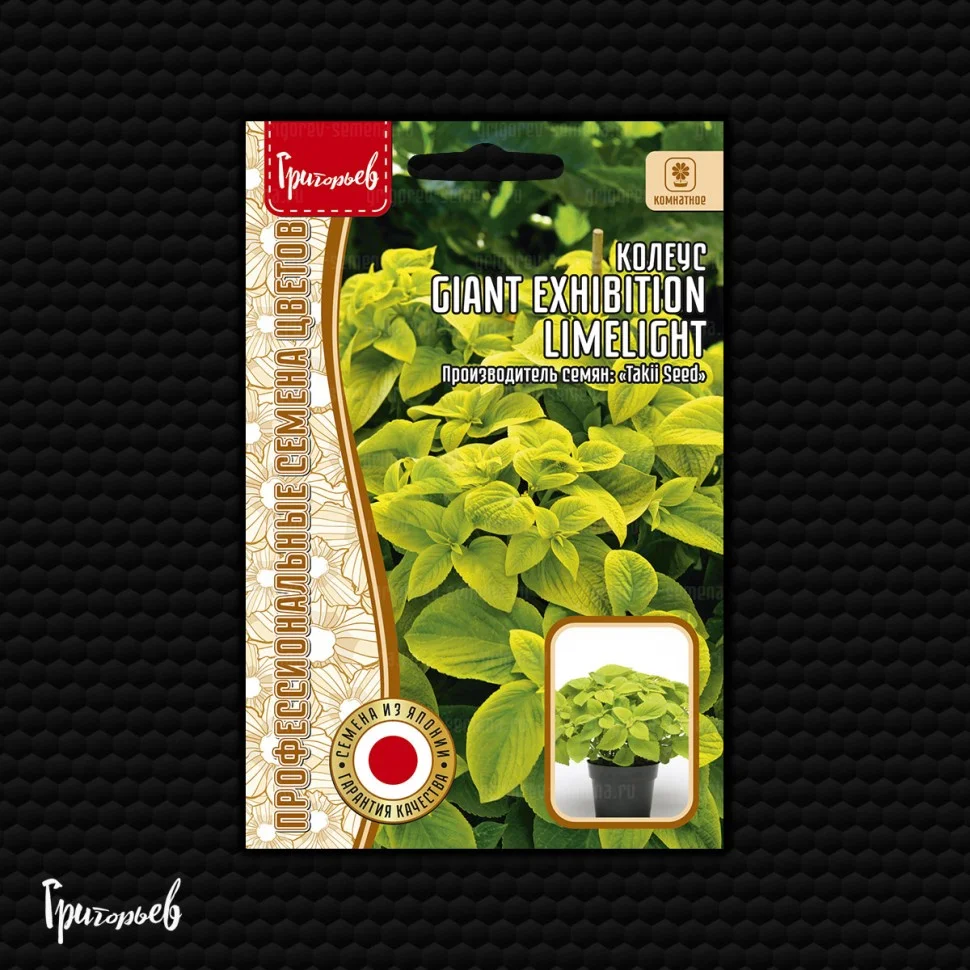 Гигантский Выставочный Limelight