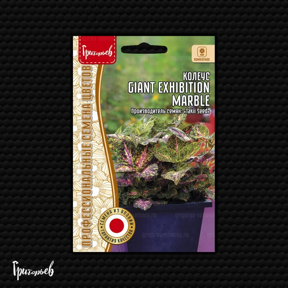 Гигантский Выставочный Marble