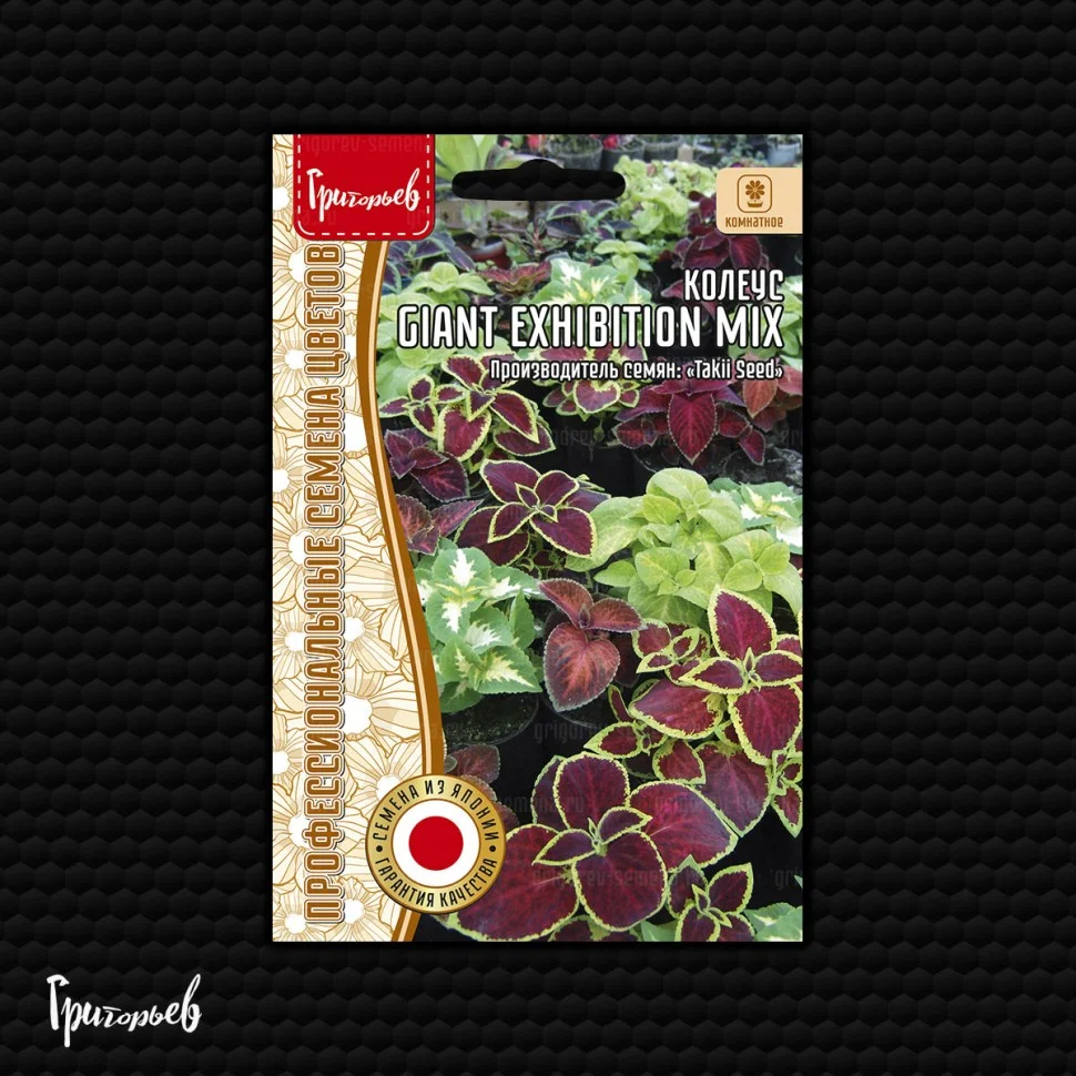 Гигантский Выставочный Mix