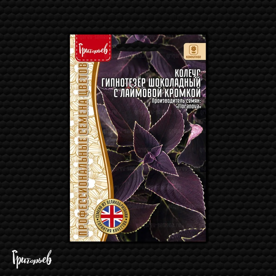 Гипнотезёр Шоколадный с Лаймовой Кромкой