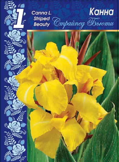 Страйпед Бьюти