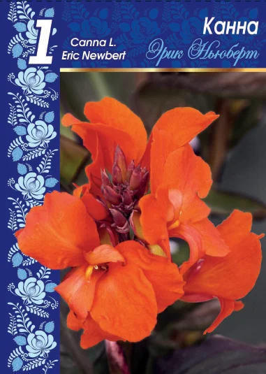 Эрик Ньюберт