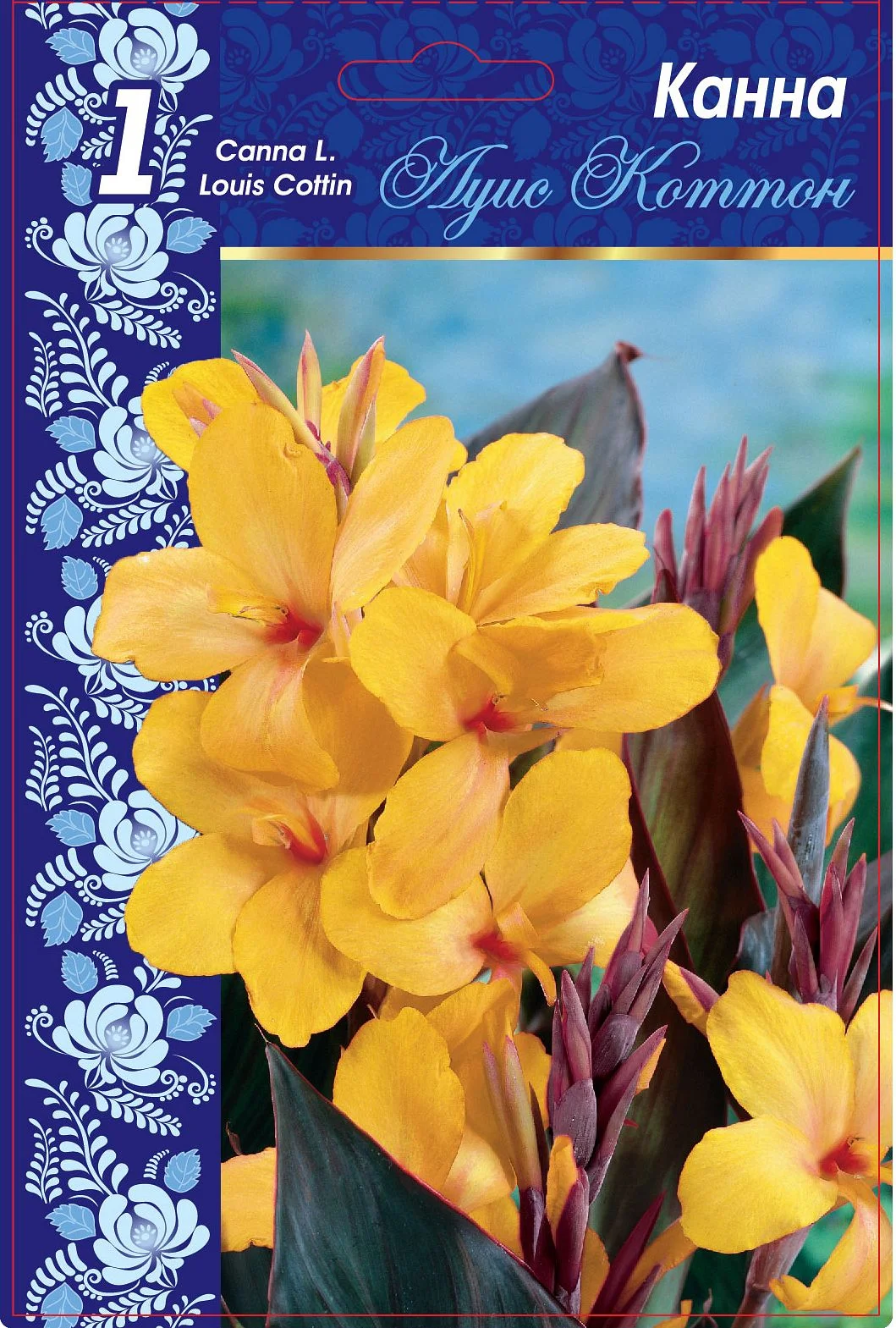 Луис Коттон