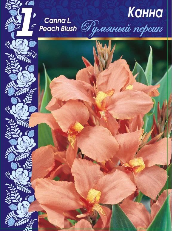 Румяный персик