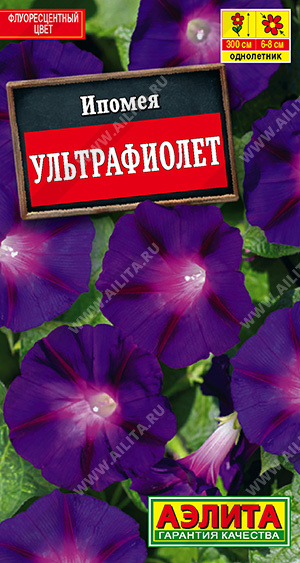 Ультрафиолет