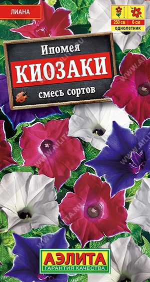 Киозаки