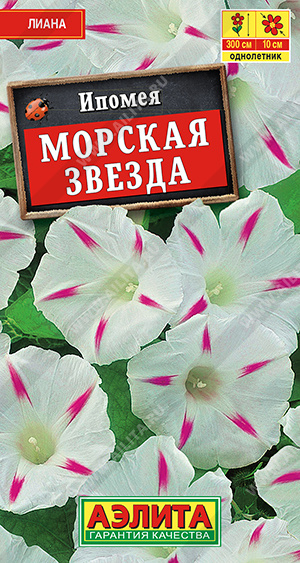 Морская звезда