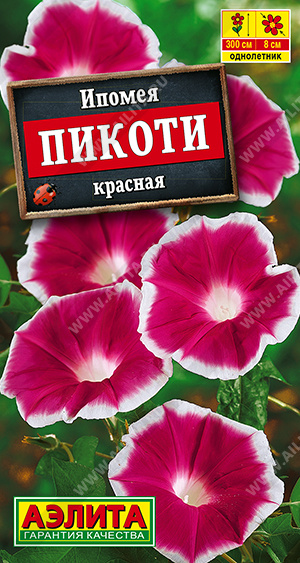 Пикоти красная