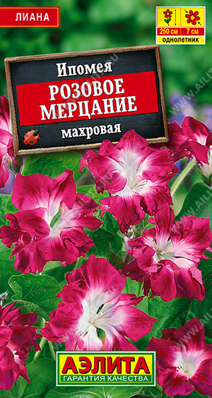 Розовое мерцание махровая
