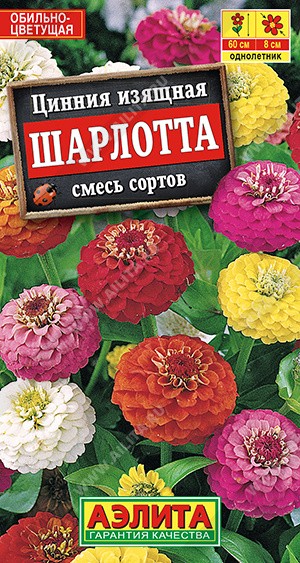 Шарлотта