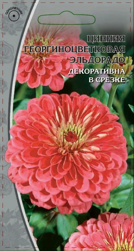 Миниатюра изображения сорта Эльдорадо