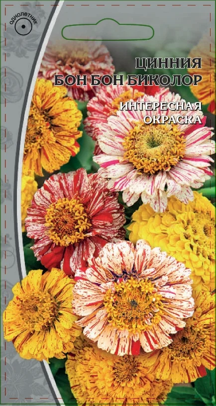 Миниатюра изображения сорта Бон-бон биколор