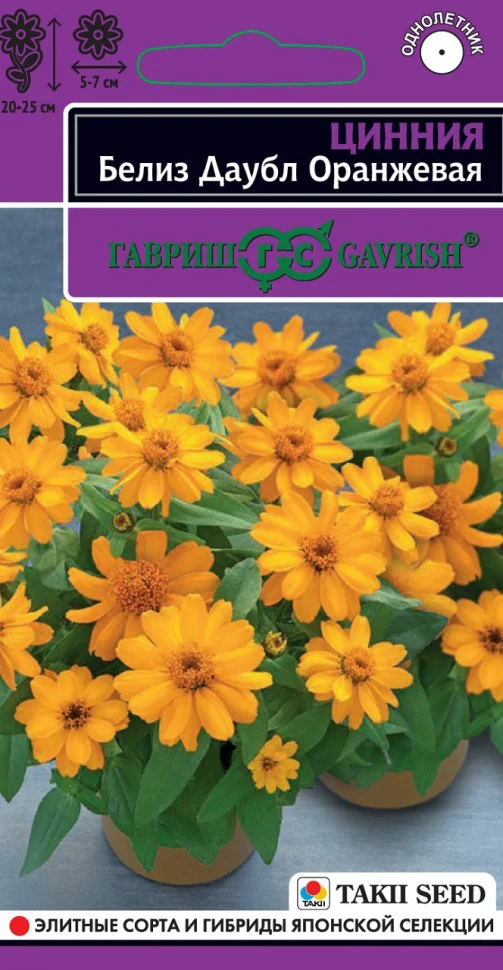 Белиз даубл оранжевая