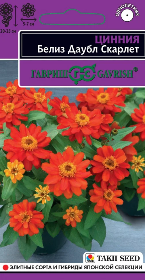 Белиз даубл скарлет