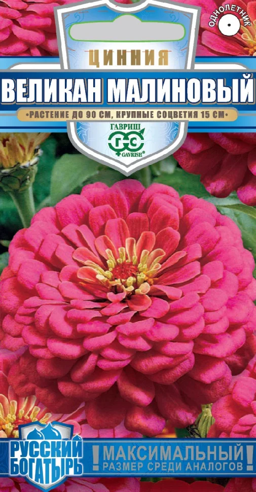 Великан малиновый