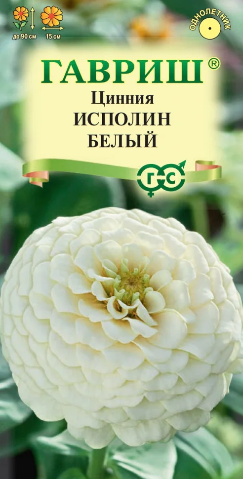 Исполин белый