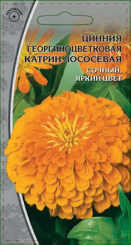 Миниатюра изображения сорта Катрин лососевая