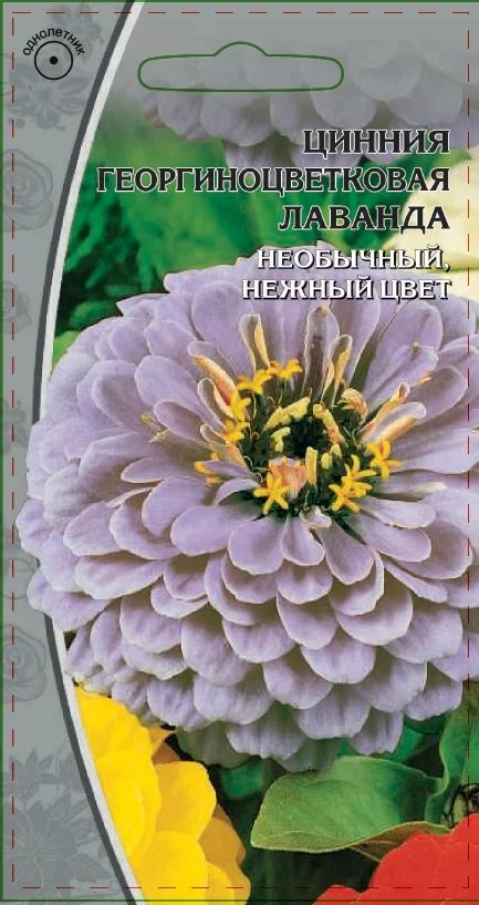 Миниатюра изображения сорта Лаванда