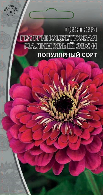 Миниатюра изображения сорта Малиновый звон