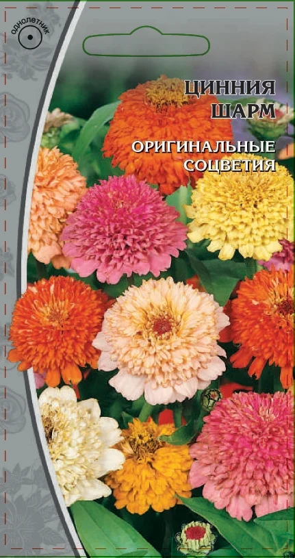 Миниатюра изображения сорта Шарм