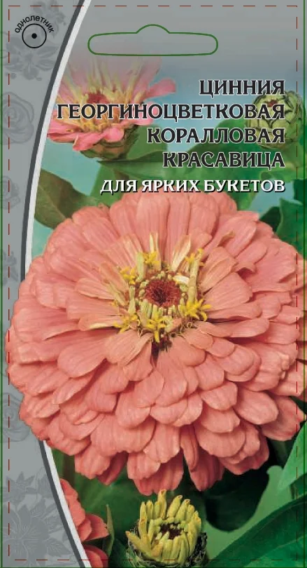 Коралловая красавица