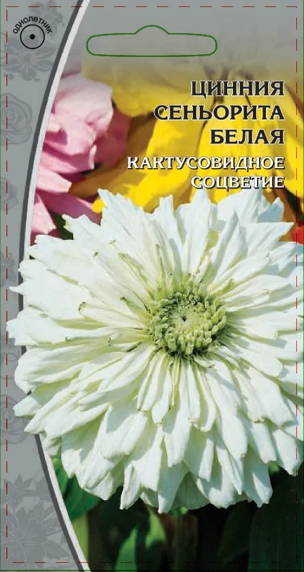 Синьорита белая