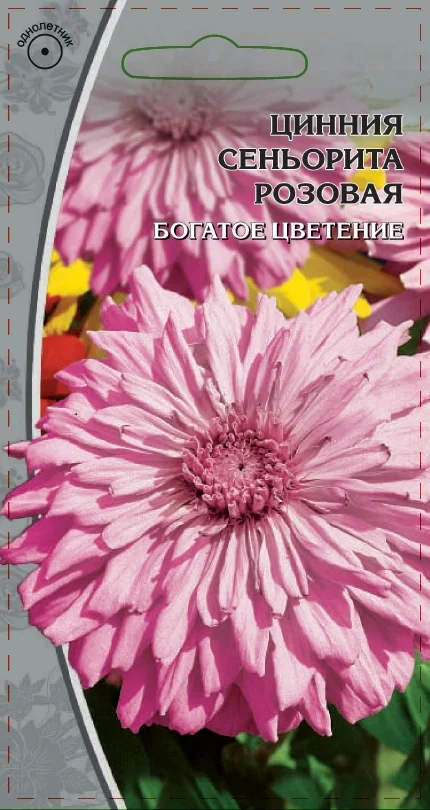 Синьорита Розовая