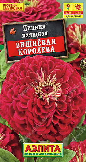 Вишневая королева
