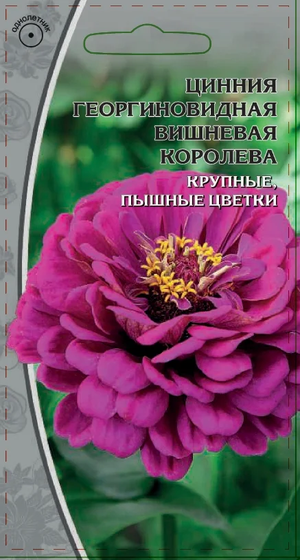 Миниатюра изображения сорта Вишневая королева