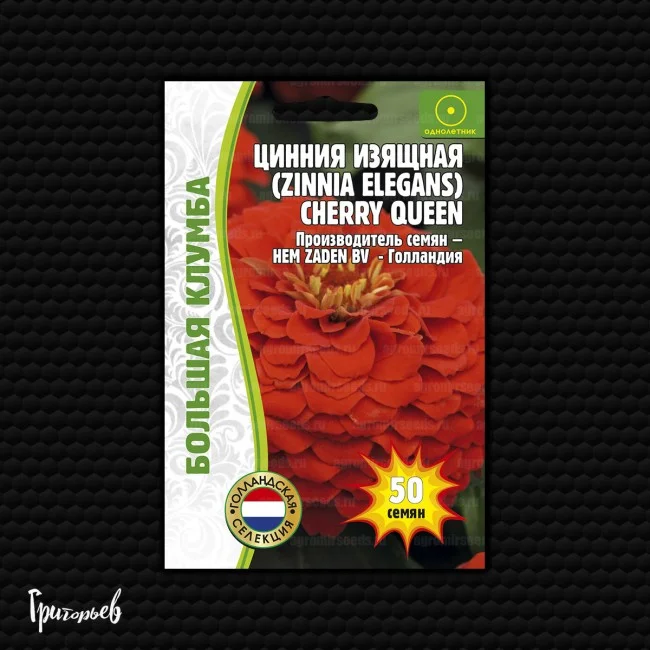 Cherry Queen