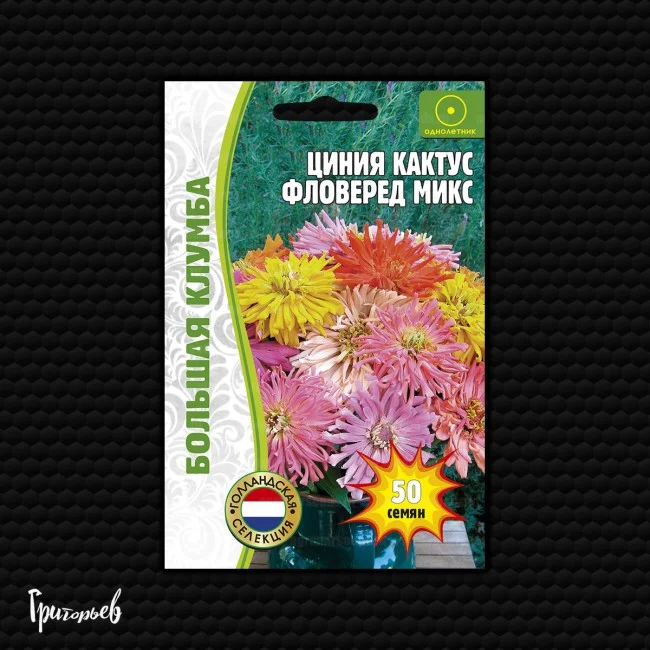 Кактус Фловеред микс