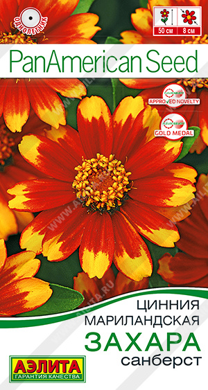 Захара санберст