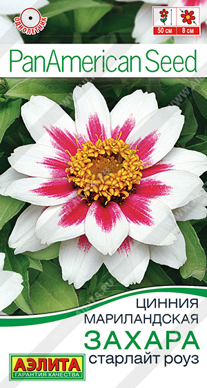 Захара старлайт роуз