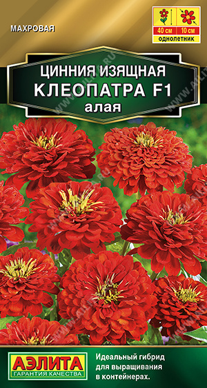 Клеопатра алая