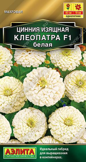 Клеопатра белая