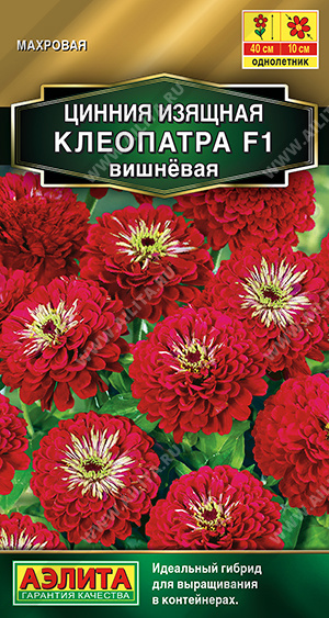 Клеопатра вишневая