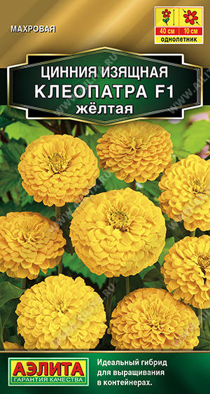 Клеопатра желтая