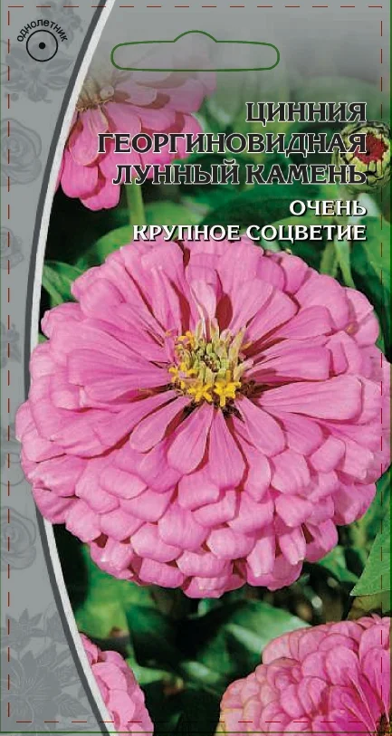 Миниатюра изображения сорта Лунный камень