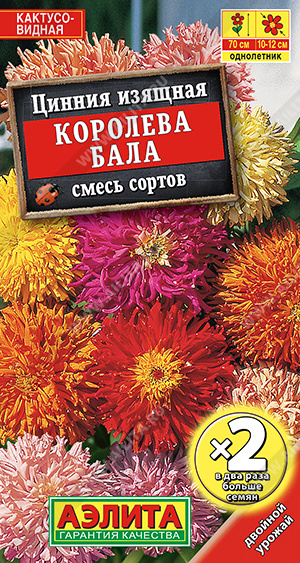 Королева бала