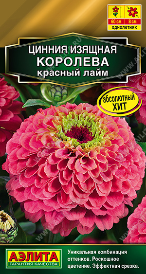 Королева красный лайм