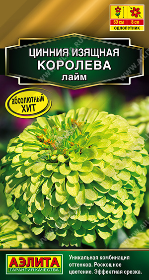 Королева лайм