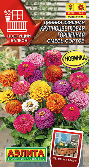 Крупноцветковая горшечная