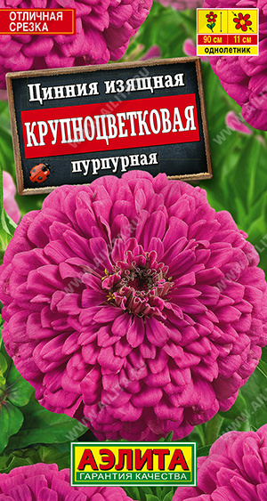 Крупноцветковая пурпурная