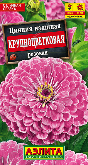 Крупноцветковая розовая