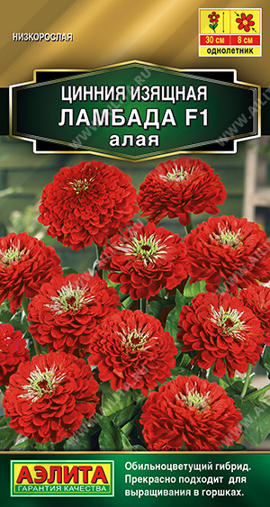 Ламбада алая