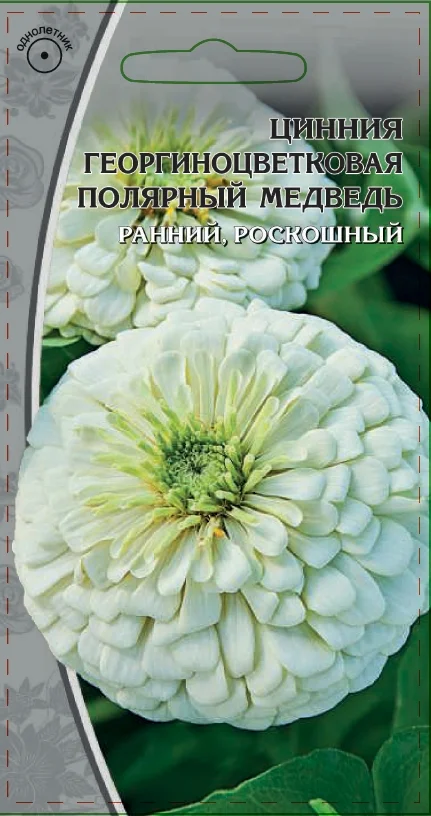 Миниатюра изображения сорта Полярный медведь