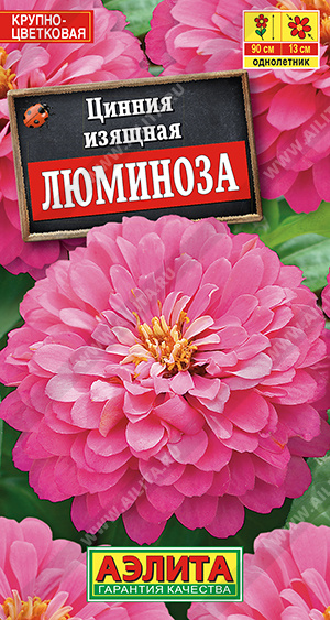 Люминоза георгиновидная