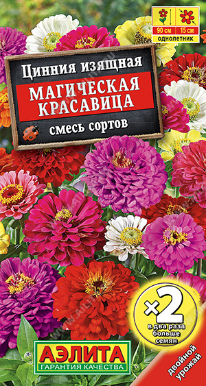 Магическая красавица