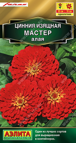 Мастер алая